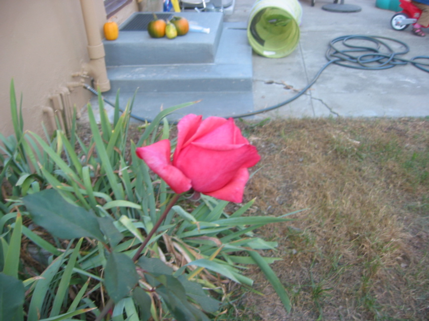 IMG_0098.JPG