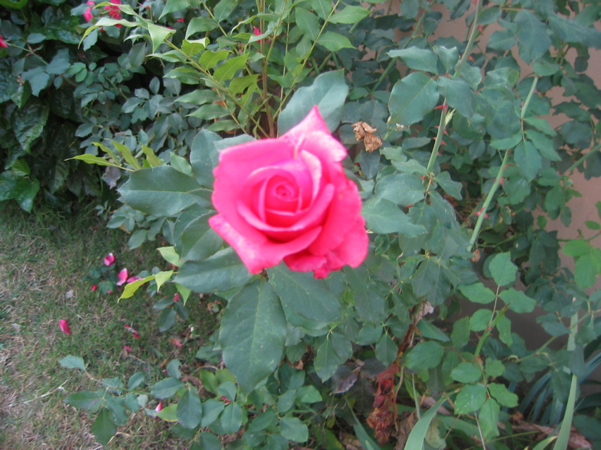 IMG_0101.JPG