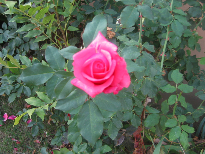IMG_0109.JPG