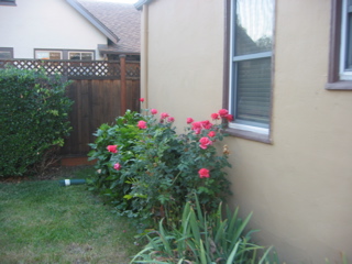IMG_0091.JPG