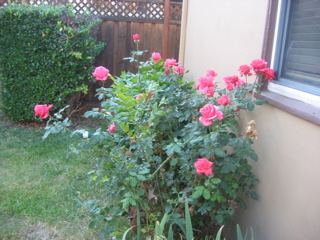 IMG_0095.JPG