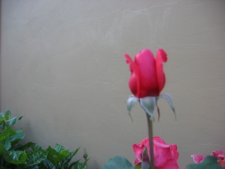 IMG_0099.JPG