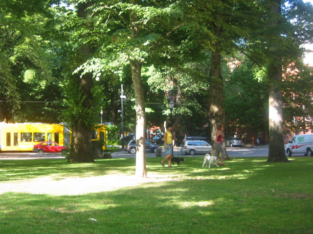 IMG_9551.JPG