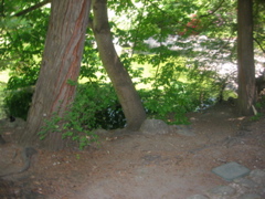 IMG_6511.JPG