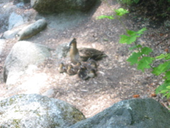 IMG_6436.JPG