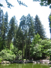 IMG_6458.JPG