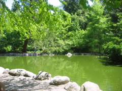 IMG_6460.JPG