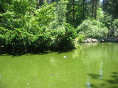 IMG_6463.JPG