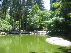 IMG_6474.JPG