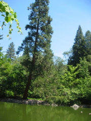 IMG_6496.JPG