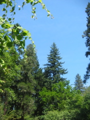 IMG_6498.JPG