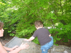 IMG_6501.JPG