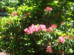 IMG_6502.JPG