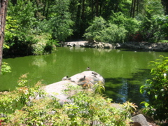 IMG_6504.JPG