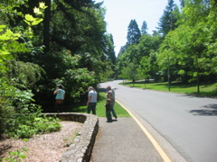 IMG_6506.JPG